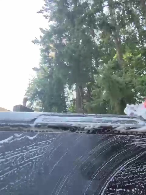 Pintura recien lavada